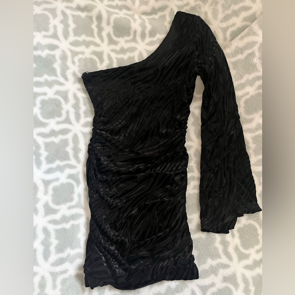 Arden B. Zebra print mini dress